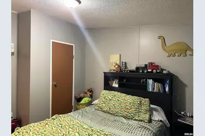 65 Payne Drive, Orangeville, IL 62939 - Photo 33