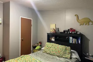 65 Payne Dr, Orangeville, IL 62939 - Photo 33