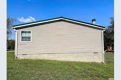 65 Payne Drive, Orangeville, IL 62939 - Photo 41