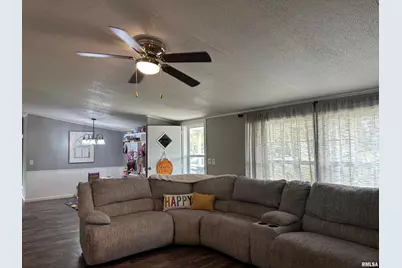 65 Payne Drive, Orangeville, IL 62939 - Photo 21