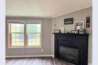 65 Payne Drive, Orangeville, IL 62939 - Photo 9