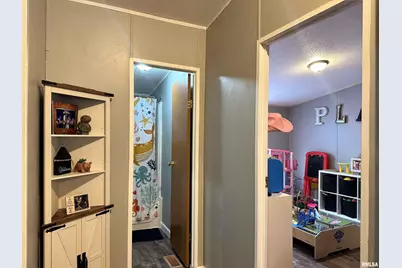 65 Payne Drive, Orangeville, IL 62939 - Photo 27