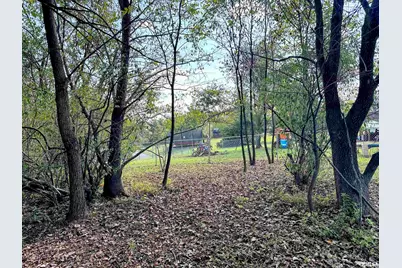 65 Payne Drive, Orangeville, IL 62939 - Photo 49