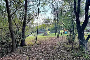 65 Payne Dr, Orangeville, IL 62939 - Photo 49