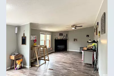 65 Payne Drive, Orangeville, IL 62939 - Photo 7