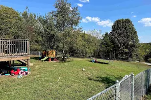 65 Payne Dr, Orangeville, IL 62939 - Photo 43