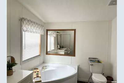 65 Payne Drive, Orangeville, IL 62939 - Photo 17