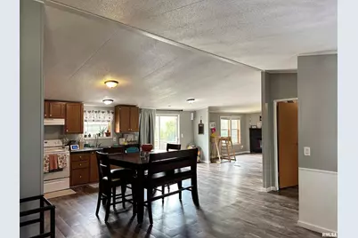 65 Payne Drive, Orangeville, IL 62939 - Photo 5