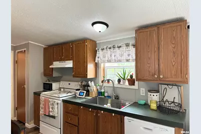 65 Payne Drive, Orangeville, IL 62939 - Photo 11