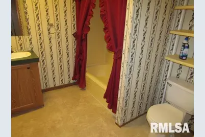 731 Bohn Street, Rosiclare, IL 62982 - Photo 19