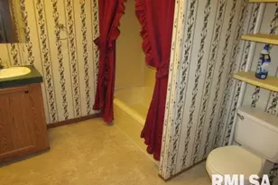 731 Bohn St, Rosiclare, IL 62982 - Photo 19