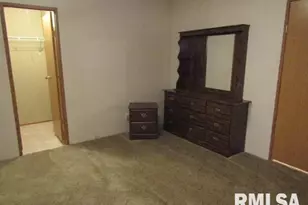 731 Bohn St, Rosiclare, IL 62982 - Photo 13