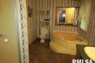 731 Bohn St, Rosiclare, IL 62982 - Photo 21