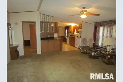 731 Bohn Street, Rosiclare, IL 62982 - Photo 7