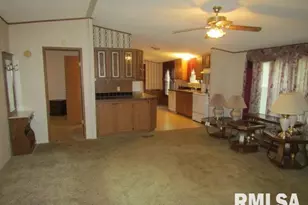 731 Bohn St, Rosiclare, IL 62982 - Photo 7