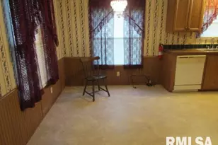 731 Bohn St, Rosiclare, IL 62982 - Photo 11