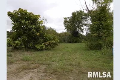 Ooo Moore Street, Eldorado, IL 62930 - Photo 7