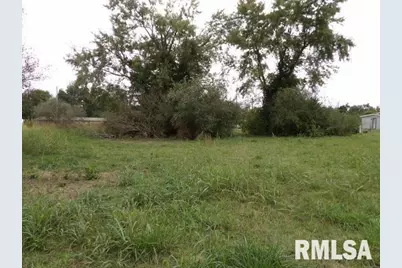 Ooo Moore Street, Eldorado, IL 62930 - Photo 5