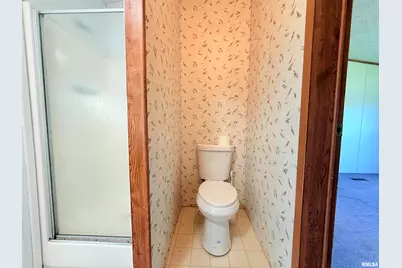 125 Beech Hollow Road, Harrisburg, IL 62946 - Photo 21