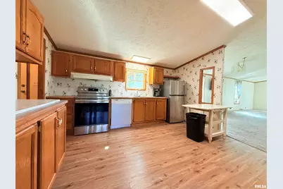 125 Beech Hollow Road, Harrisburg, IL 62946 - Photo 23