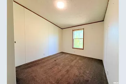 125 Beech Hollow Road, Harrisburg, IL 62946 - Photo 29