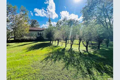 295 Country Acres Road, Eldorado, IL 62930 - Photo 7