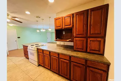 295 Country Acres Road, Eldorado, IL 62930 - Photo 19