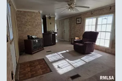 25637 Route 3 Road, Olive Branch, IL 62990 - Photo 5