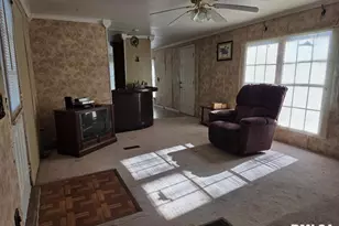 25637 Route 3 Rd, Olive Branch, IL 62990 - Photo 5