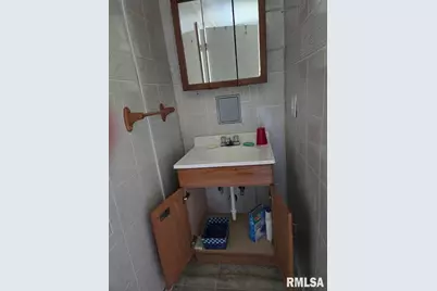 25637 Route 3 Road, Olive Branch, IL 62990 - Photo 9