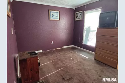 25637 Route 3 Road, Olive Branch, IL 62990 - Photo 7