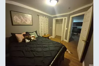 1116 S Land St Street, Harrisburg, IL 62946 - Photo 9