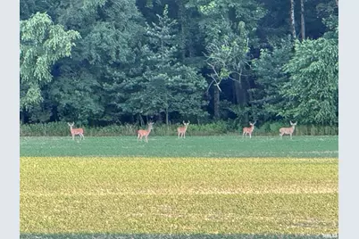 878 County Road 600 N, Sims, IL 62886 - Photo 5