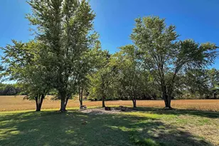 878 Co Rd 600N, Sims, IL 62886 - Photo 69