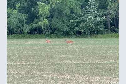 878 County Road 600 N, Sims, IL 62886 - Photo 77