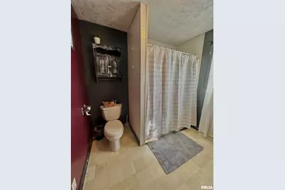 878 County Road 600 N, Sims, IL 62886 - Photo 39