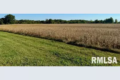 1934 County Road 315 E Road, Xenia, IL 62899 - Photo 31