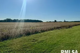 1934 County Road 315 E Rd, Xenia, IL 62899 - Photo 31