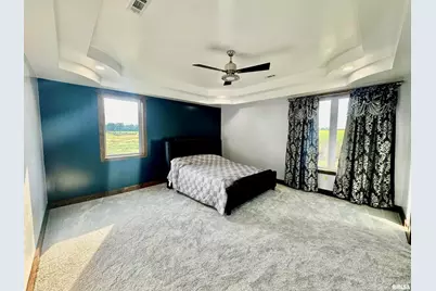 1934 County Road 315 E Road, Xenia, IL 62899 - Photo 9