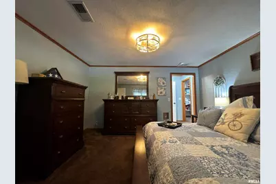 564 Pleasant Lane, Jonesboro, IL 62952 - Photo 17