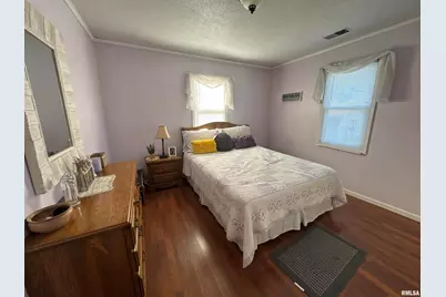 564 Pleasant Lane, Jonesboro, IL 62952 - Photo 23