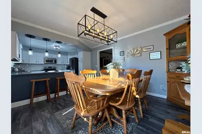 564 Pleasant Lane, Jonesboro, IL 62952 - Photo 9