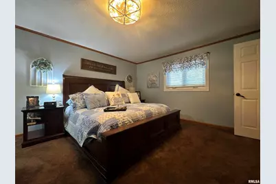 564 Pleasant Lane, Jonesboro, IL 62952 - Photo 15