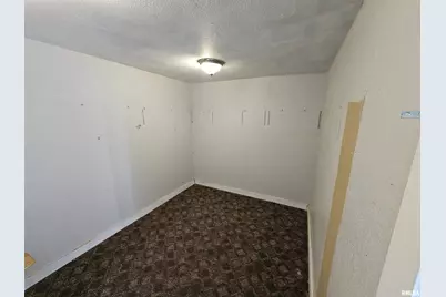 233 N US Hwy 45, Cisne, IL 62823 - Photo 21