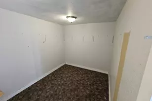 233 N US Hwy 45, Cisne, IL 62823 - Photo 21