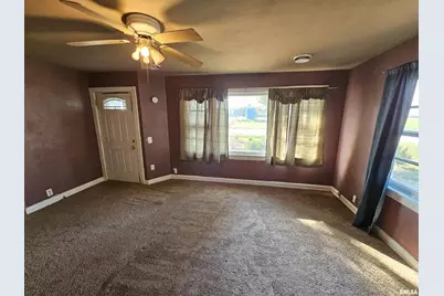 233 N US Hwy 45, Cisne, IL 62823 - Photo 11