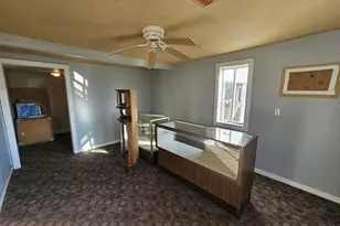 233 N US Hwy 45, Cisne, IL 62823 - Photo 19