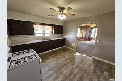 233 N US Hwy 45, Cisne, IL 62823 - Photo 15