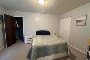 206 W Homer Ave Ave, Harrisburg, IL 62946 - Photo 25