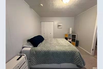 206 W Homer Ave Avenue, Harrisburg, IL 62946 - Photo 27